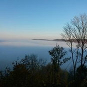 Foto von Heike Gessler