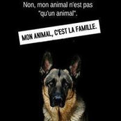Annabelle Tremblay's photo