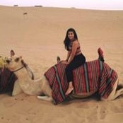 Richaa Gilani's photo