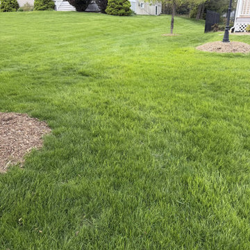 Fertilized Front Lawn with Fresh Mulch Beds - Westchester, NY