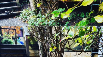 Deck Structural Exclusion of Wildlife