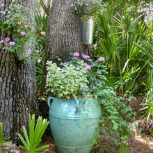 Cheryl Feenstra's Ideas