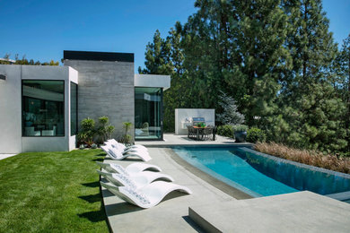 Inspiration for a pool in Los Angeles.