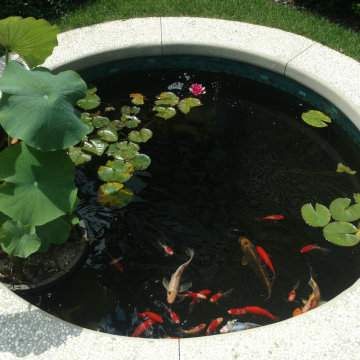 Koi Ponds