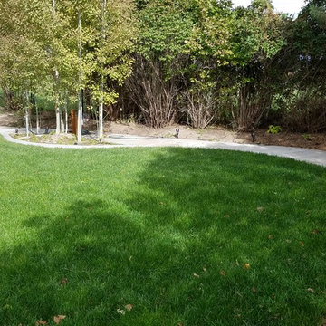 Landscaping Vineyard