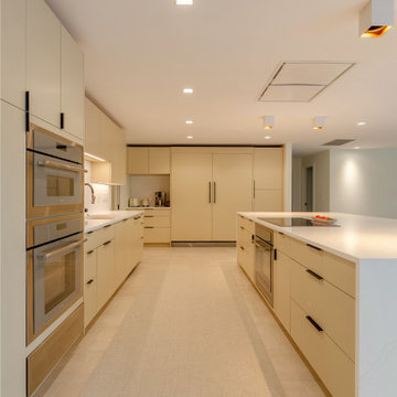 Contemporary Galley Kitchen with Streamlined Architectural Precision
