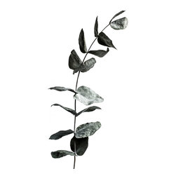 Harmony in black - Prints And Posters