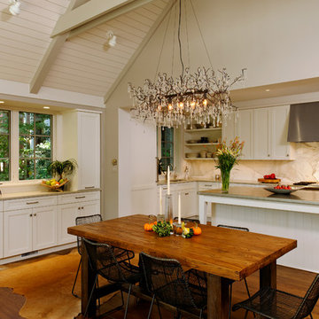 Washington, DC - Transitional - Kitchen Design with Cathedral Ceilings