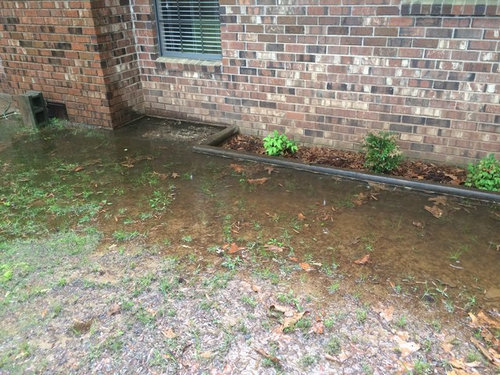 Water issue in yard