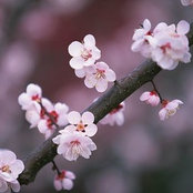 Jean's photo
