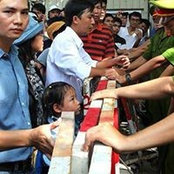 Minh Hiếu Bùi's photo
