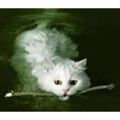 Kat Hoth's photo