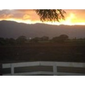 Julie Whipple's photo