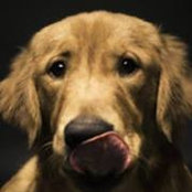Laura Solano Ramirez's photo