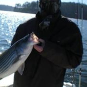 Shawn McCurdy's photo