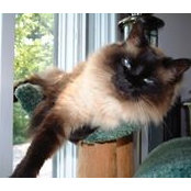 DeAnn Brett's photo