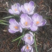 Darlene Polovitch Thomas's photo