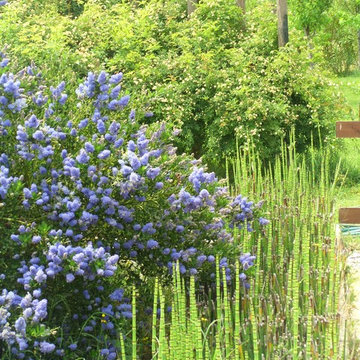 jardín de campo