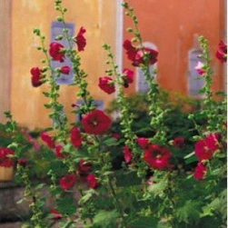 La Fleur Rouge Outdoor Canvas Art - Artwork