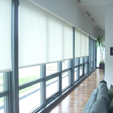 Shades