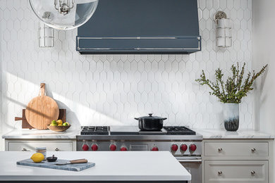Transitional kitchen photo in Chicago