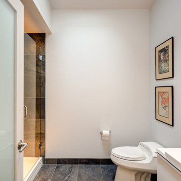Seward Park Whole House Remodel