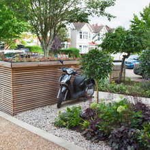 Fionas front garden
