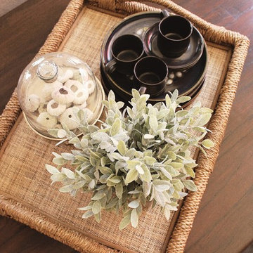 Poinsettia Project