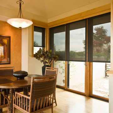 SCREEN SOLAR & BLACKOUT SHADES