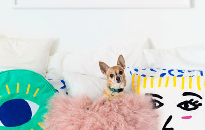 Pet’s Place: Every Day Is a Party for Bella the Chihuahua