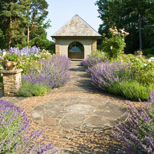 kitchen garden