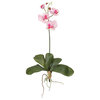 Mini Phalaenopsis Silk Orchid Flower With Leaves, 6 Stems