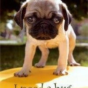 Cheryl Deschamps's photo