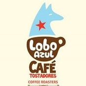 Adriano Wolf's photo