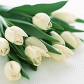 Marina Melinte's photo