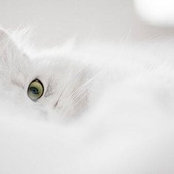 Noha Adel's photo