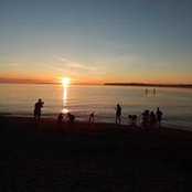 Tracy Brooks's photo
