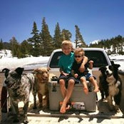 Nikki Salyers's photo