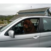Susan Mauriello's photo