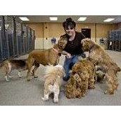 Robin Hirsch's photo
