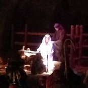 Beth Collyer's photo