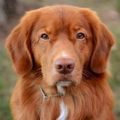Wendy Johansen's photo