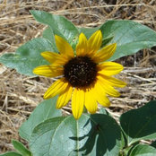 Kim Snider's photo