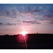 Cindy Gilliam Lees's photo
