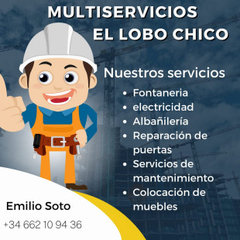 Multiservicios Emilio soto
