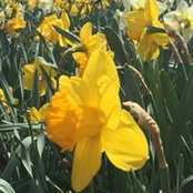 Val Torres's photo