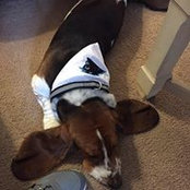 Matthew Auch's photo