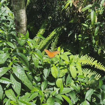 The Girls' Garden