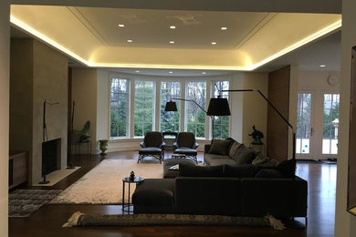 Example of a minimalist living room design in Detroit