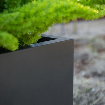 Metallic Series - Span
